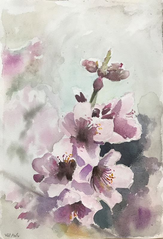 68.2.2.2017