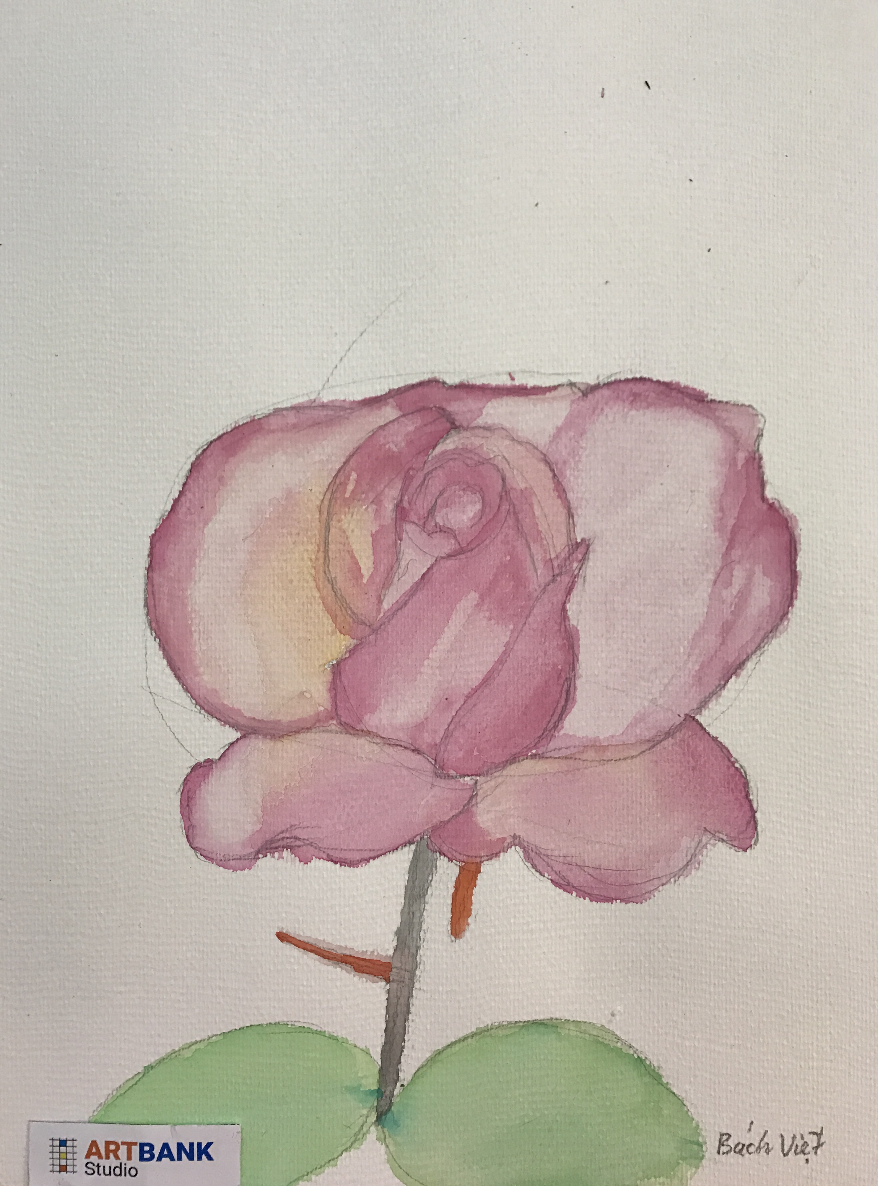 72.14.5.2017