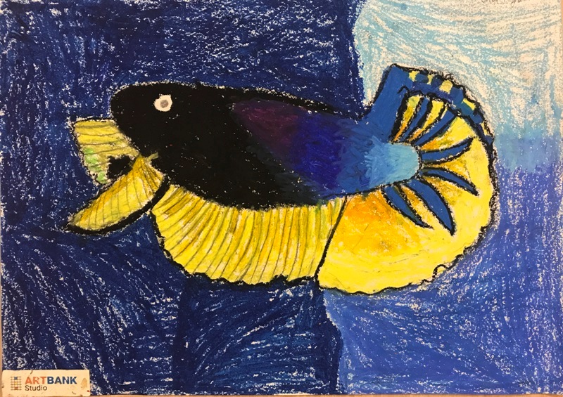 214.14.10.2017