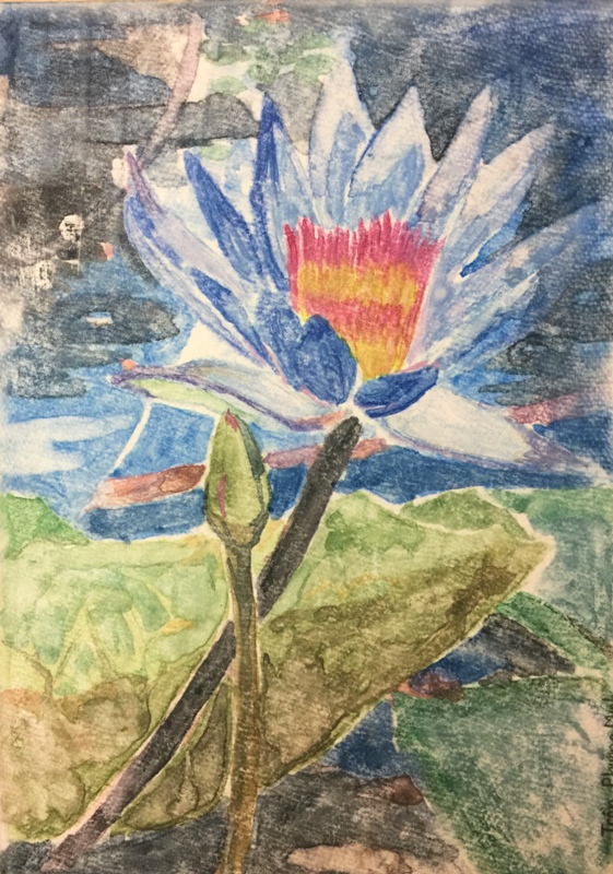 83.20.05.2018